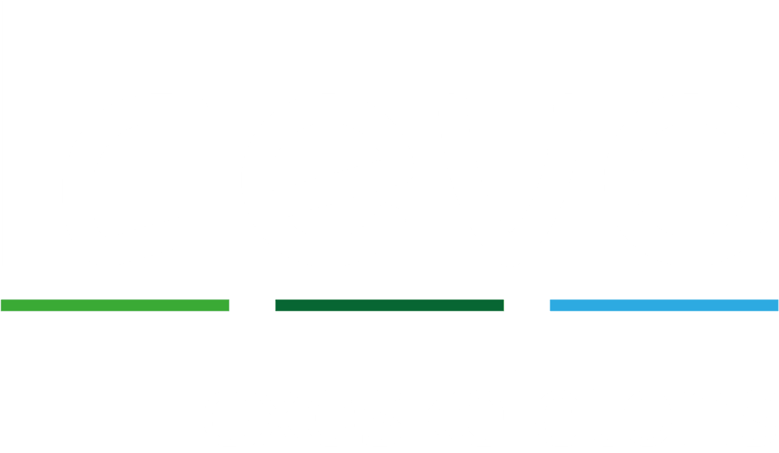 Laevo B.V.