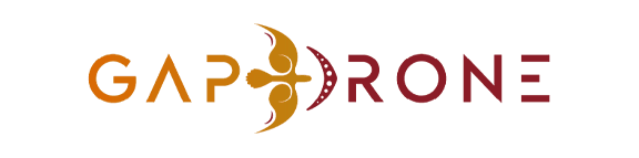 GAP Drone logo