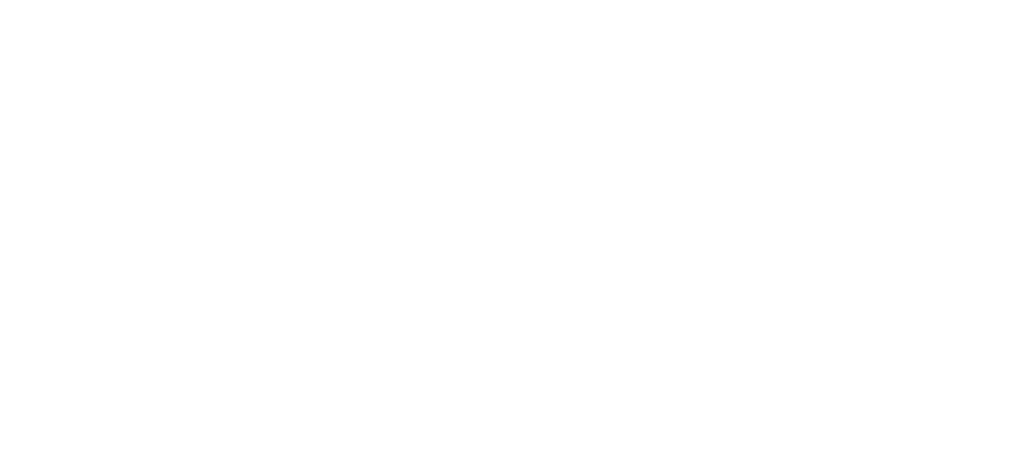BlackSea Technologies