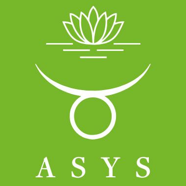 ASYS Automatic Systems GmbH