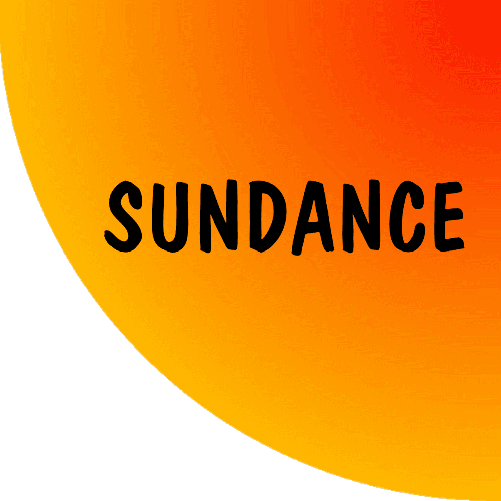 Sundance Multiprocessor Technology Ltd