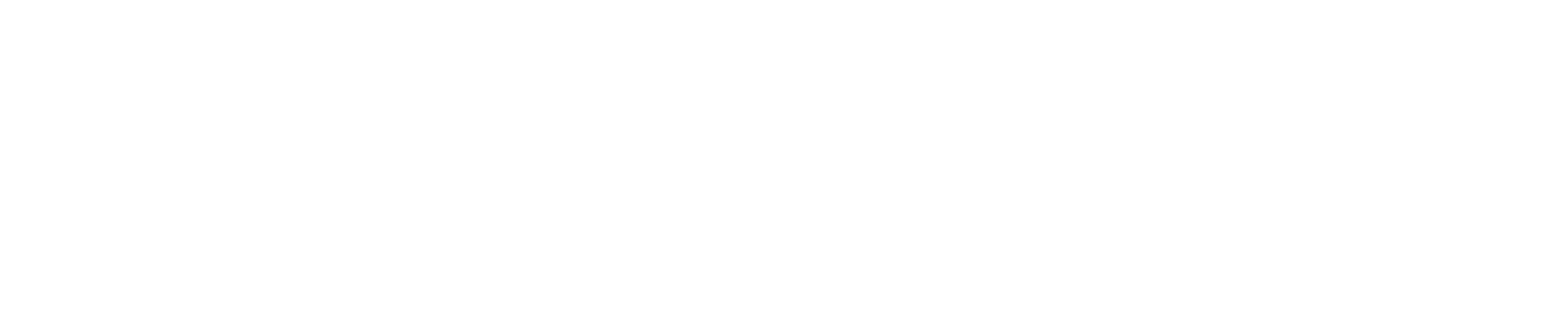 Optimotive