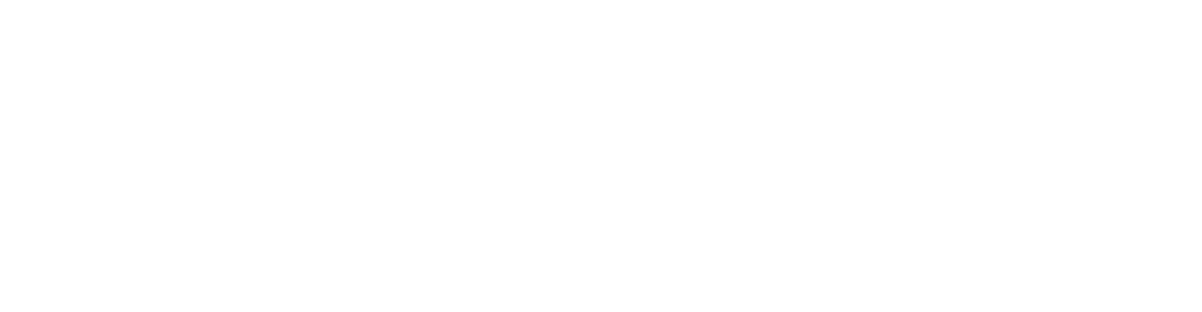 PitPro Automation logo