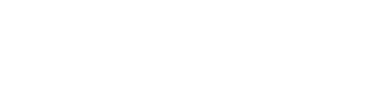 Perceptronics Solutions