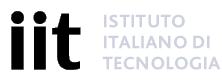 Italian Inst of Tech
