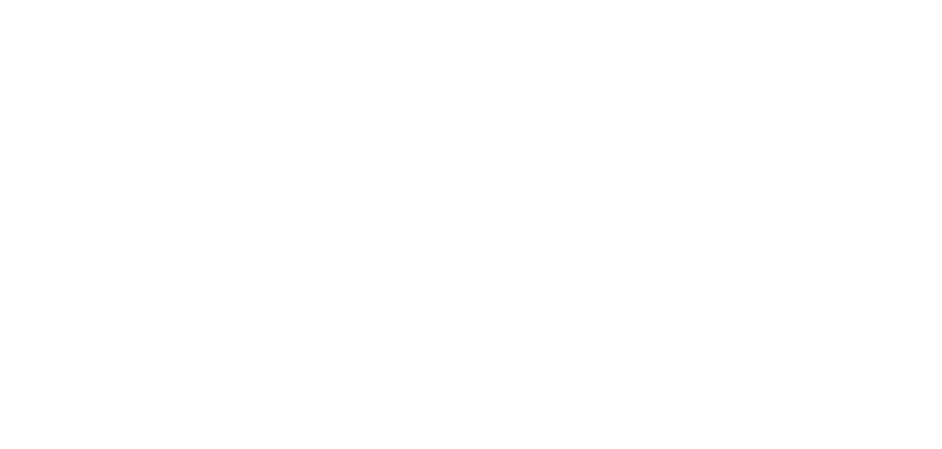Iwa Robotics logo