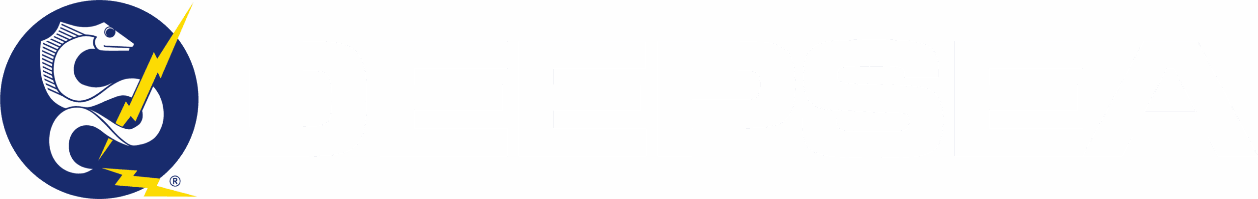 DeepSea Power & Light logo