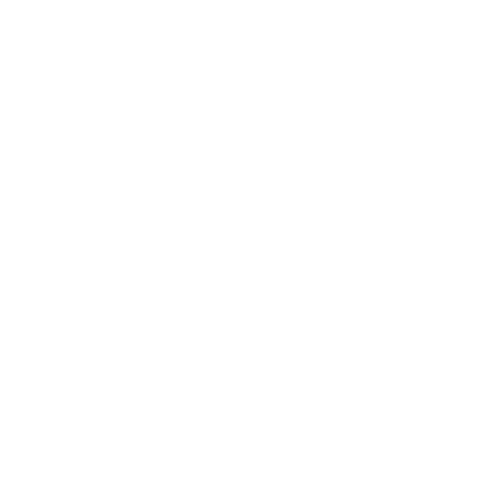 MyBull Robotics