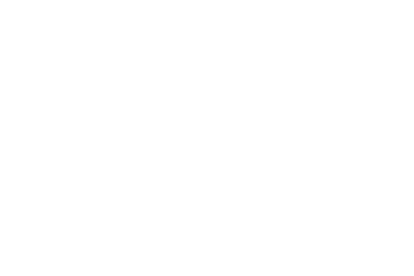 Magellium (FR)