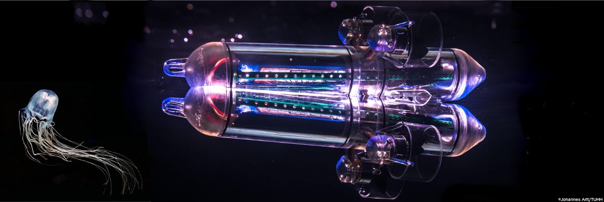 Micro Underwater Robot (RU)