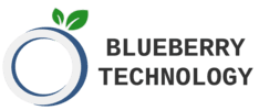 Blueberry Technology Inc.