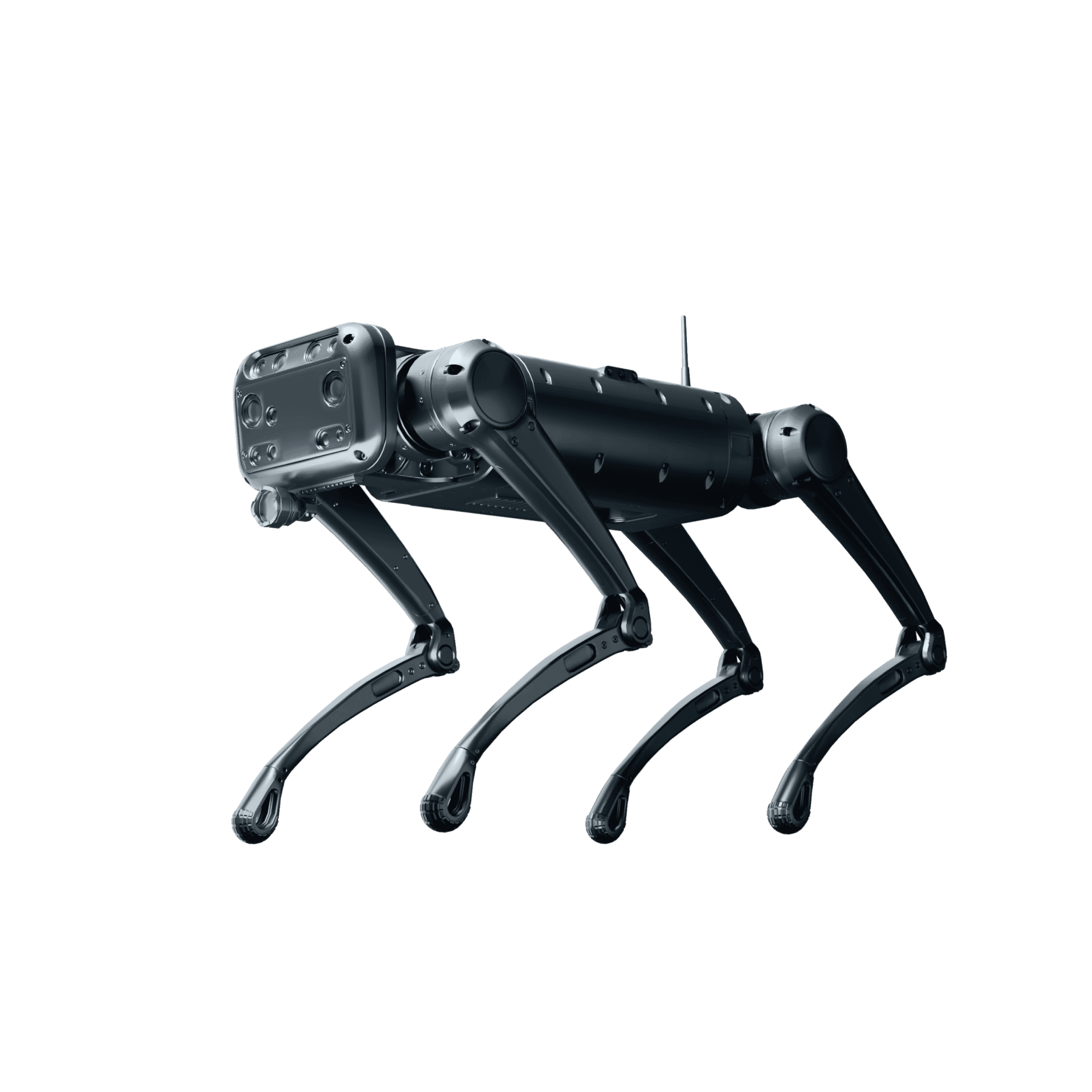 BridgeDP Robotics