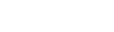 Dex-Robot