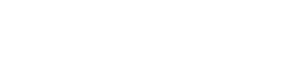 Dynics Inc.