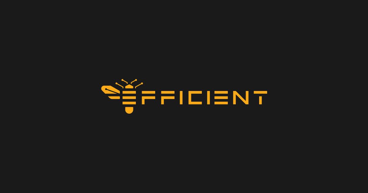 Efficient Computer