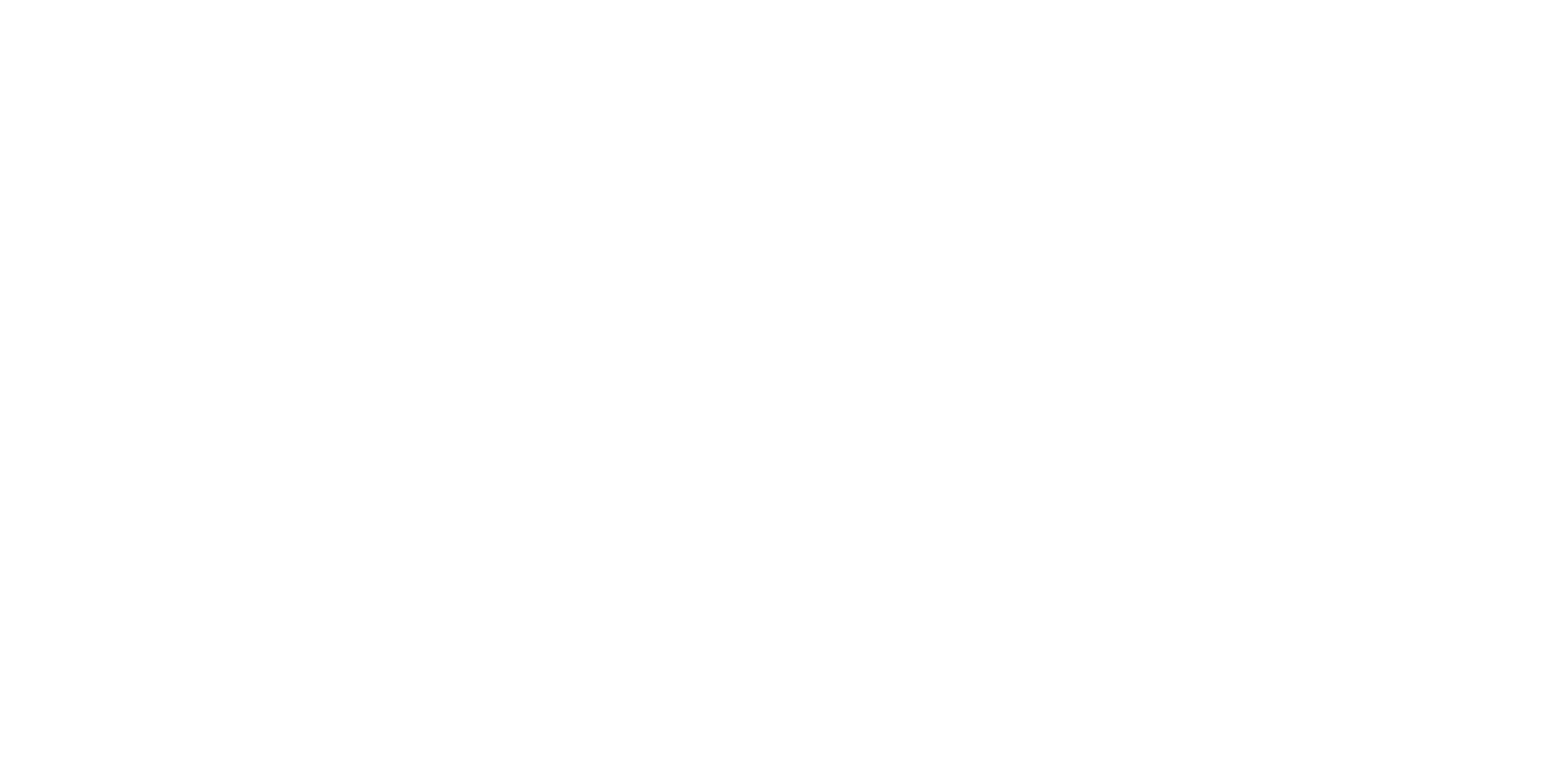 Roboprint (RP)