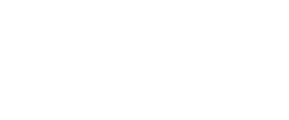 Logiqs BV (NL)