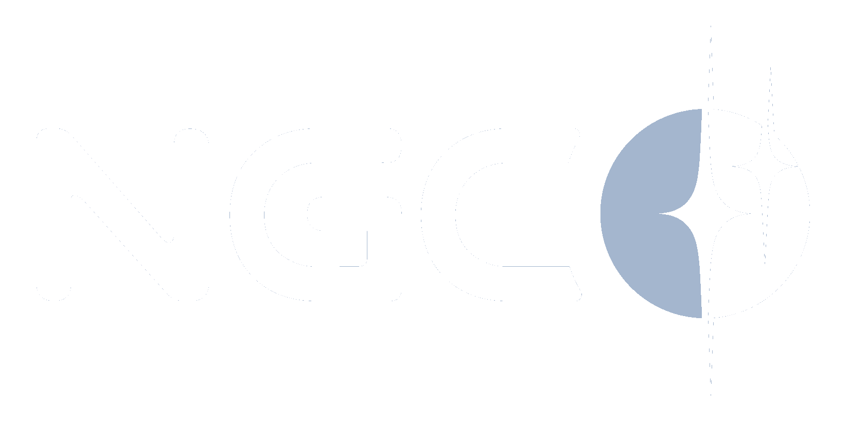 NGC Aerospace Ltd. logo