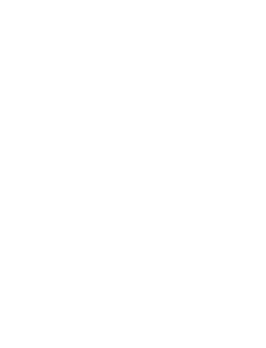 Bifrost AI logo