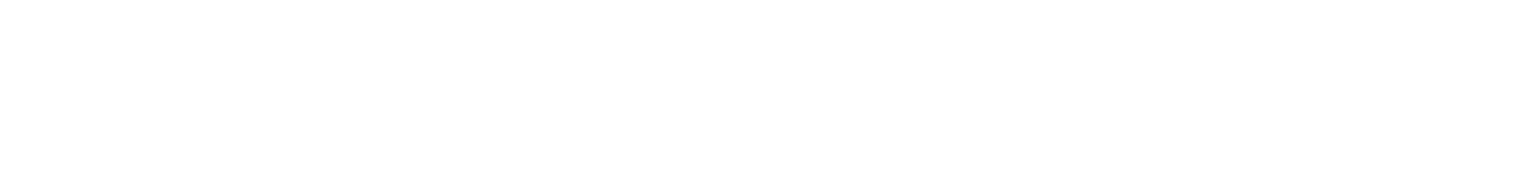 Palatial Platforms Inc. logo