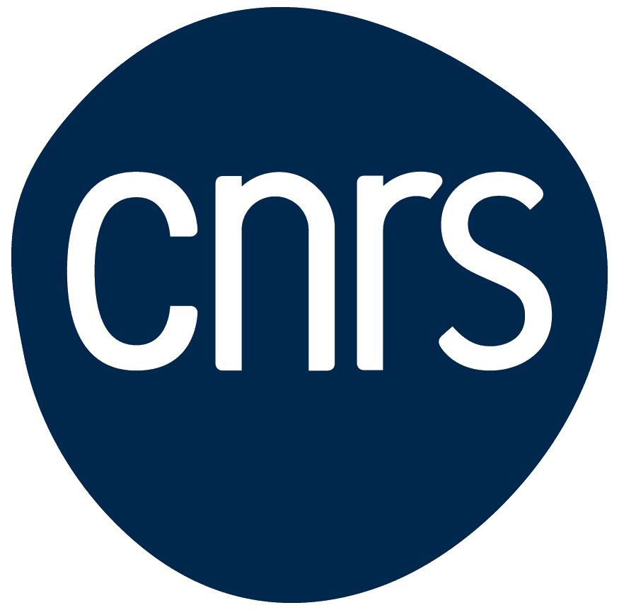 LAAS CNRS (FR)