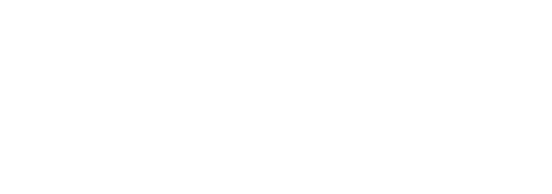 PteroDynamics Inc. logo