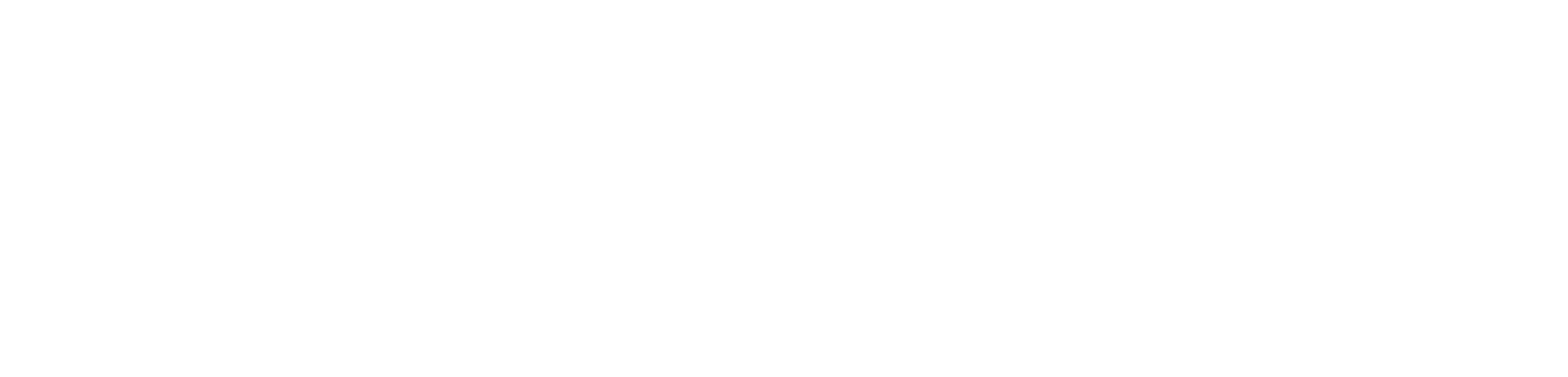 Raion Robotics logo
