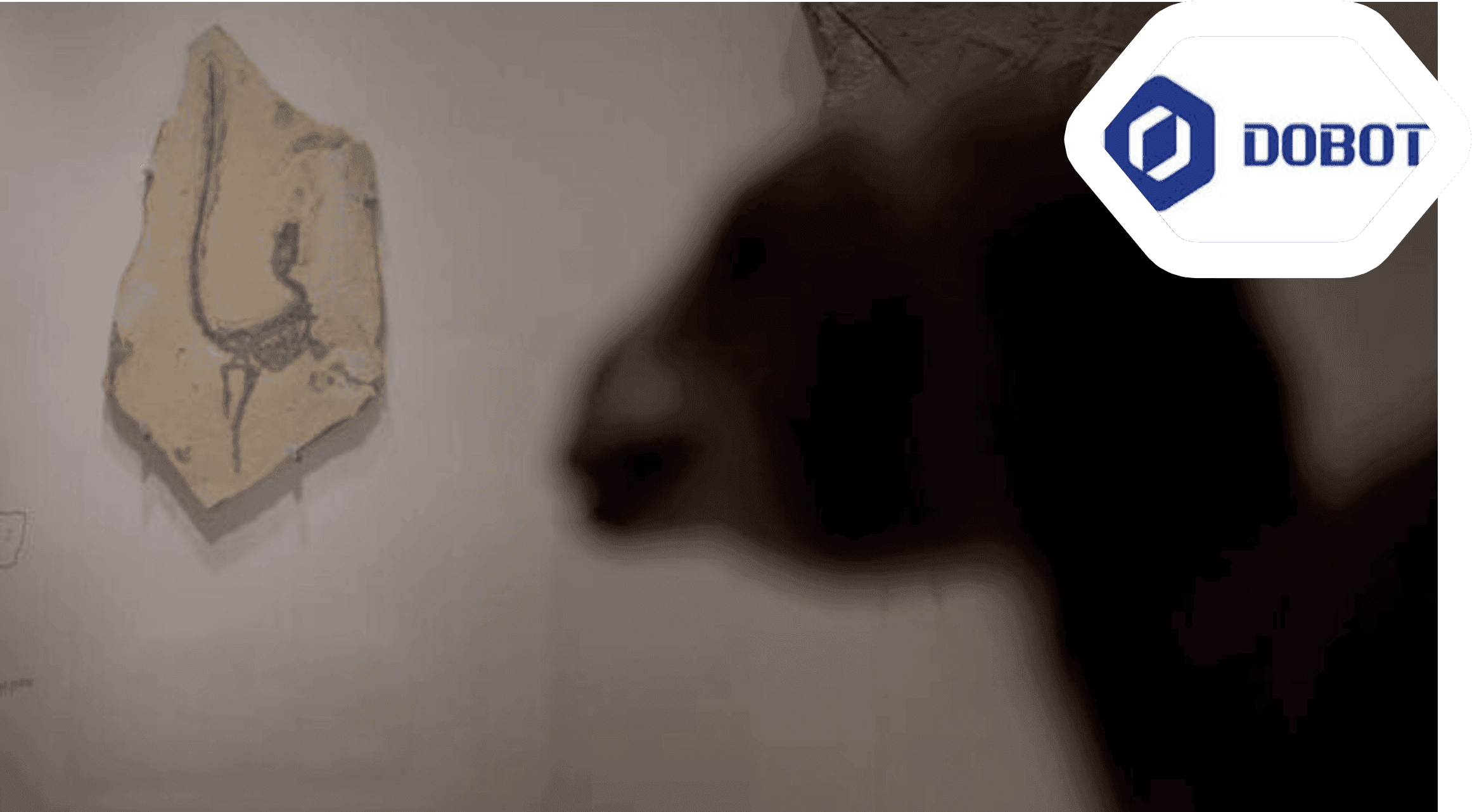 Dobot Breakthrough in AI-Driven Tools Enhances Industry Dynamics