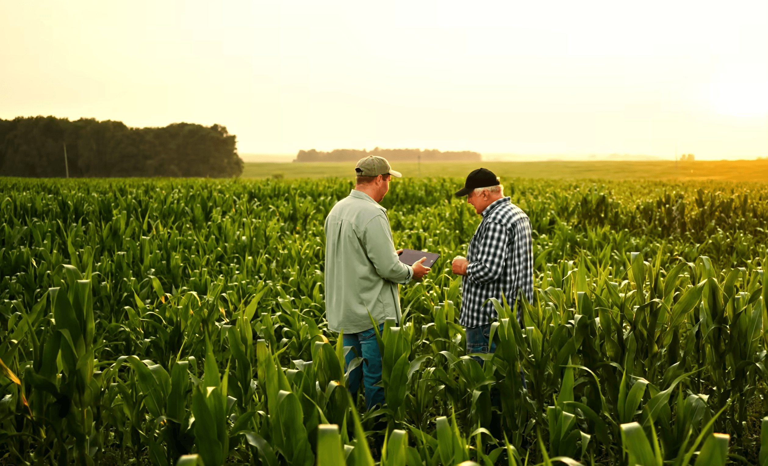 Agricultural Robotics | 2025–2030 Outlook: The Labor Cost Reckoning