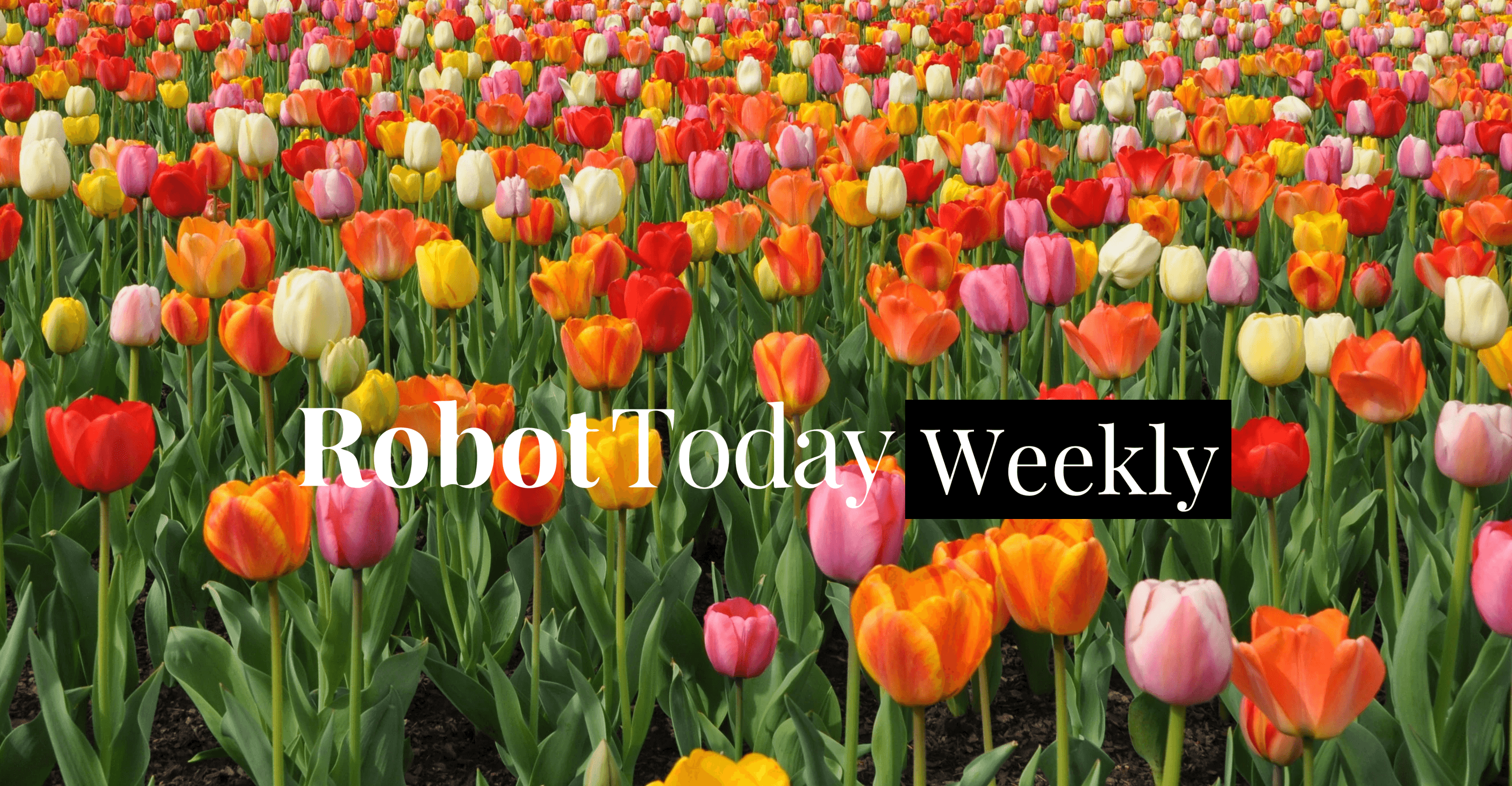 ROBOTTODAY WEEKLY May 4 - 8, 2026