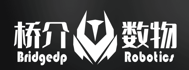 BridgeDP Robotics logo