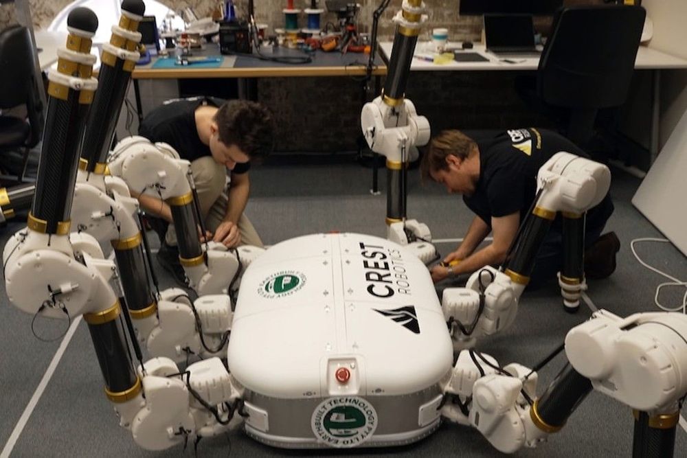 Charlotte is a semi-autonomous robot that combines robotics with 3D printing. (Supplied: Crest Robotics and Earthbuilt Technology)