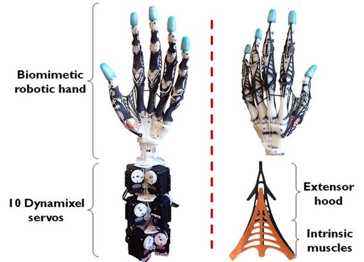 How Mimic Robotics is Bringing Physical AI to Dexterous Manipulation