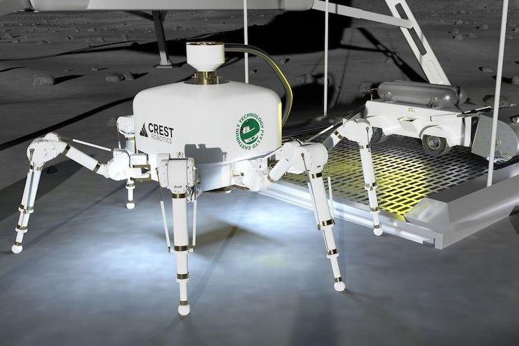 Charlotte has been unveiled at the IAC in Sydney. (Supplied: Crest Robotics and Earthbuilt Technology)